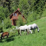 Chalet Karawankenpanorama Liebenfels