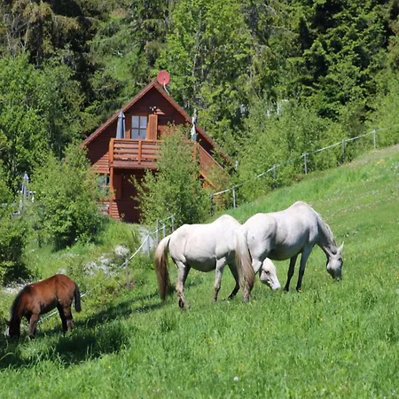 Dağ evi Karawankenpanorama Liebenfels