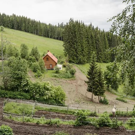 Karawankenpanorama Liebenfels