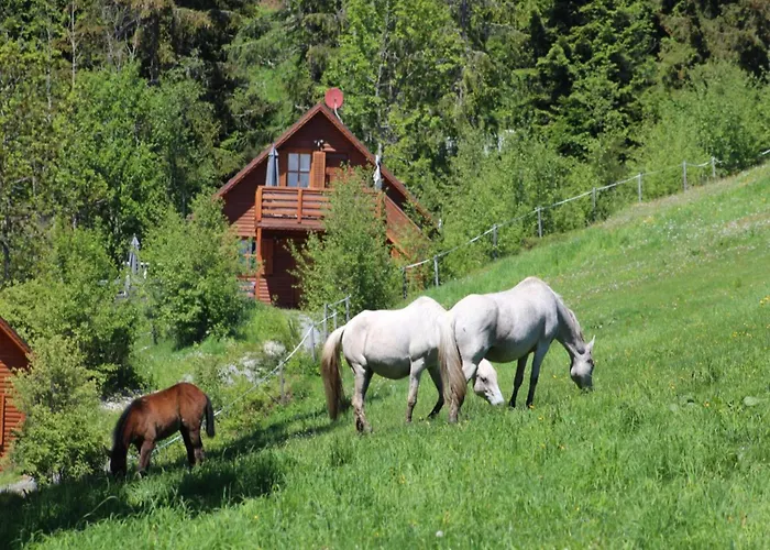 Karawankenpanorama Chalet