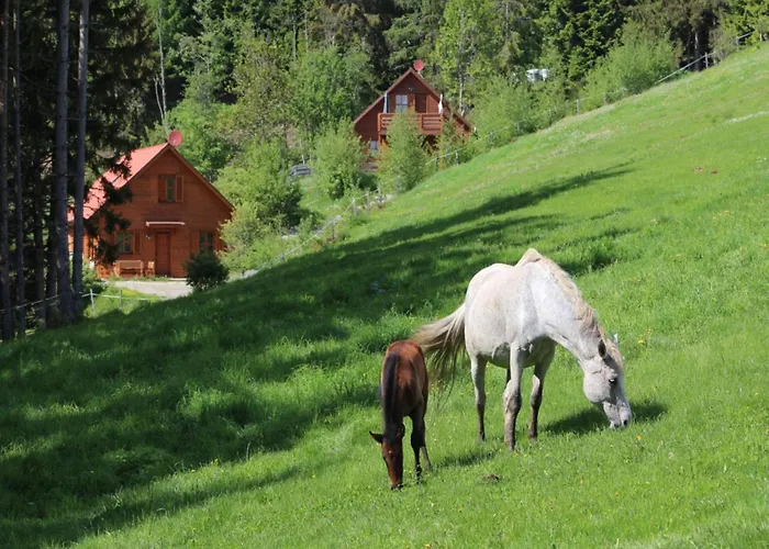 Chalet Karawankenpanorama